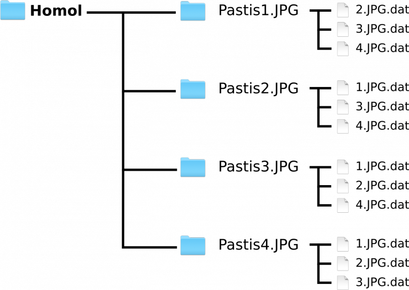 Fichier:Tapioca homol arborescence.png
