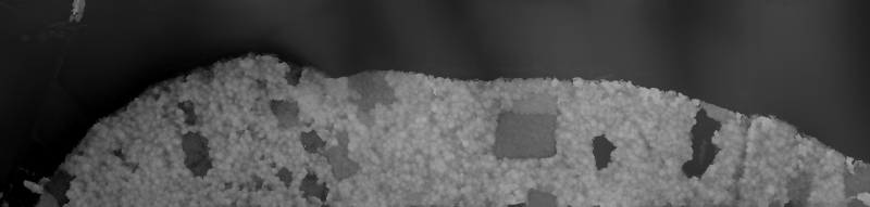 Fichier:Canopy DEM.png